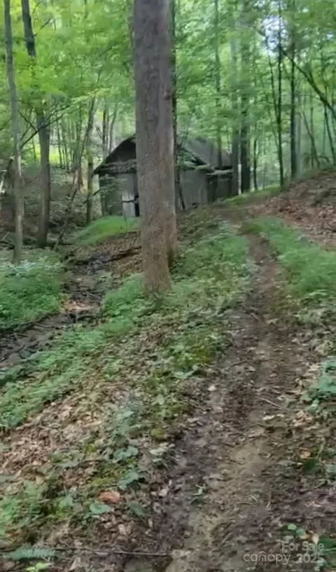 295 Bennett Branch Road