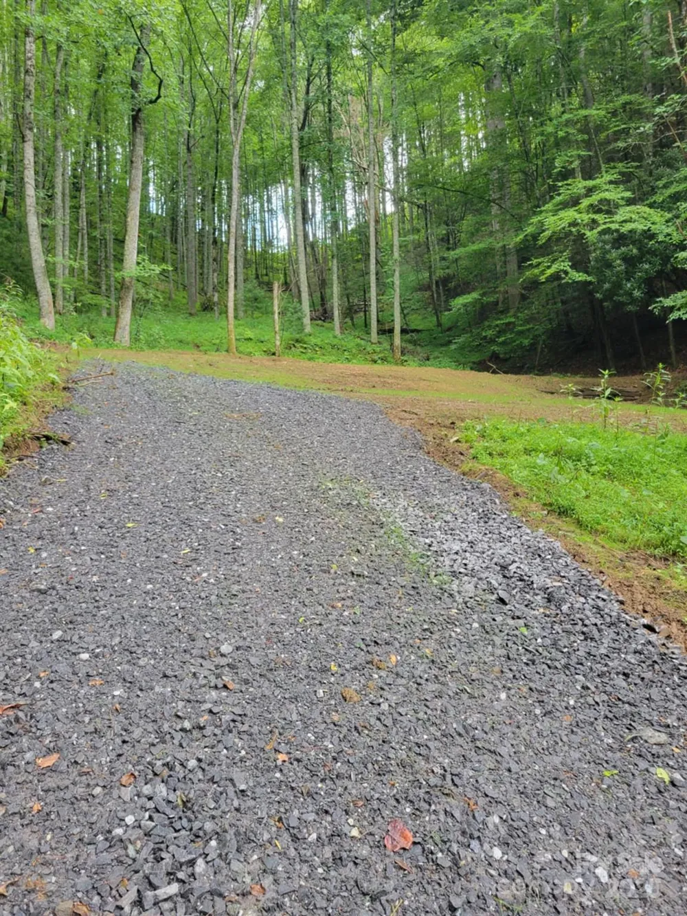 295 Bennett Branch Road Green Mountain, NC 28740