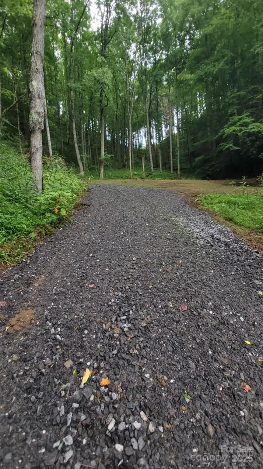 295 Bennett Branch Road Green Mountain, NC 28740