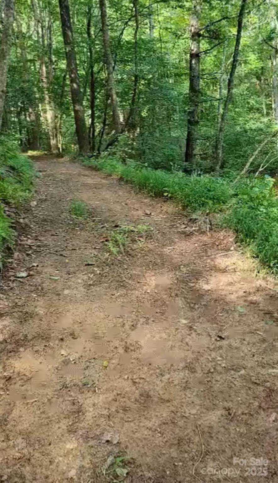 295 Bennett Branch Road Green Mountain, NC 28740