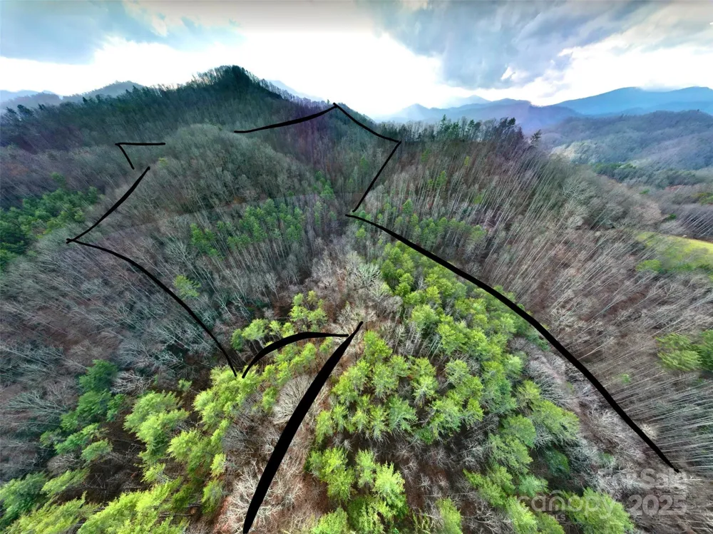 295 Bennett Branch Road Green Mountain, NC 28740