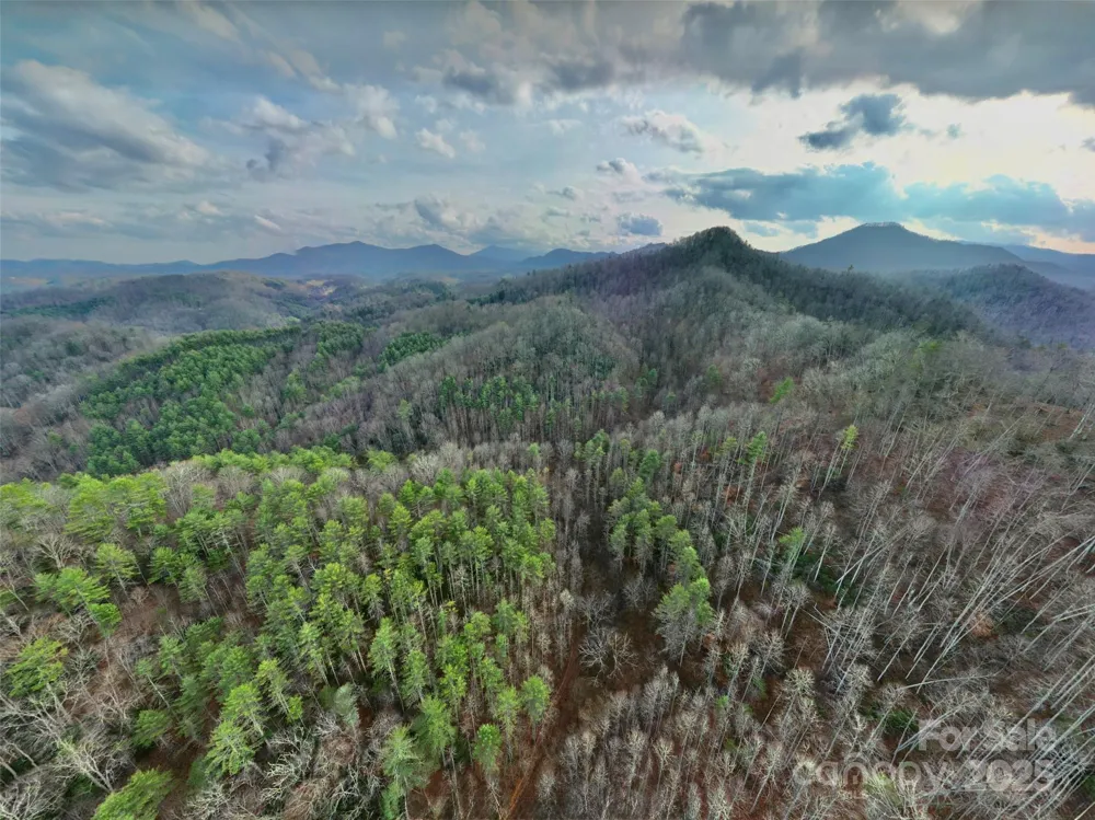295 Bennett Branch Road Green Mountain, NC 28740