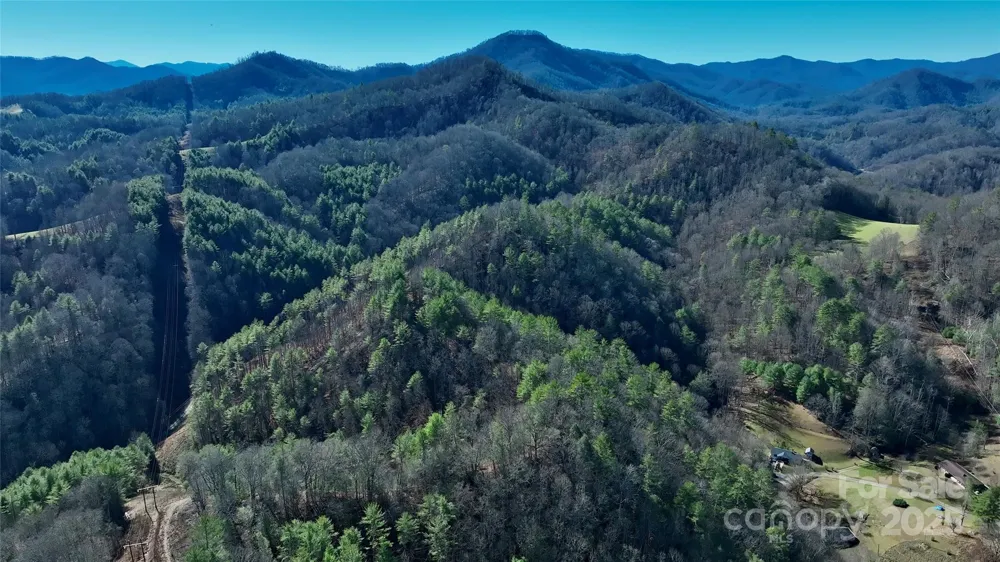 295 Bennett Branch Road Green Mountain, NC 28740