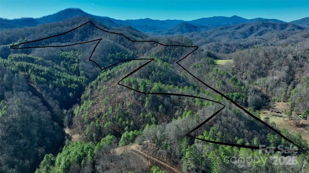295 Bennett Branch Road Green Mountain, NC 28740