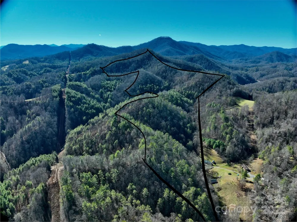 295 Bennett Branch Road Green Mountain, NC 28740