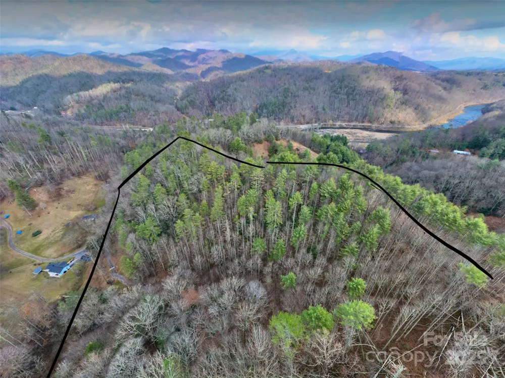 295 Bennett Branch Road Green Mountain, NC 28740
