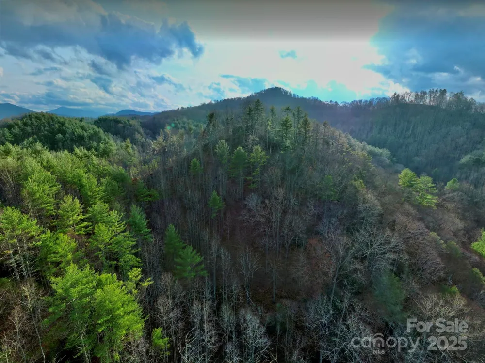 295 Bennett Branch Road Green Mountain, NC 28740