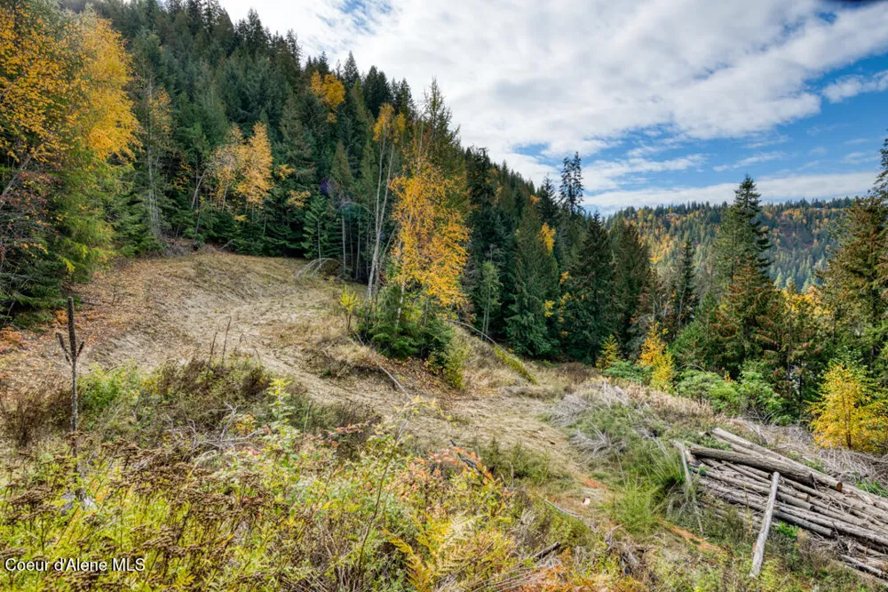 NNA Grand Adler Bonners Ferry, ID 83805