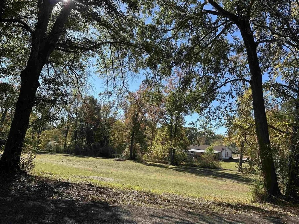 Cecelia Mt Pleasant, TX 75455