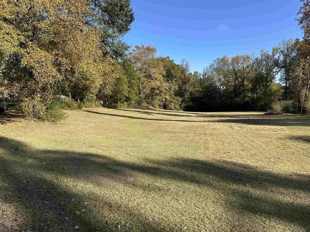 Cecelia Mt Pleasant, TX 75455