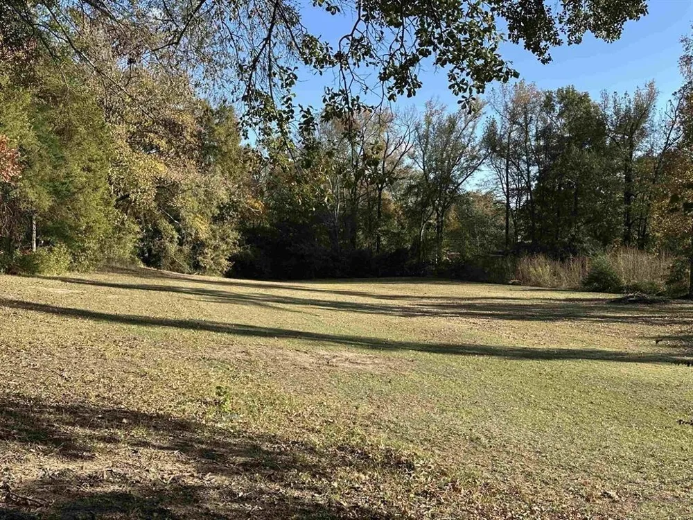 Cecelia Mt Pleasant, TX 75455