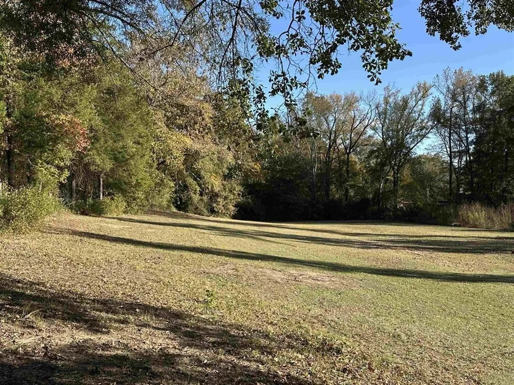 Cecelia Mt Pleasant, TX 75455