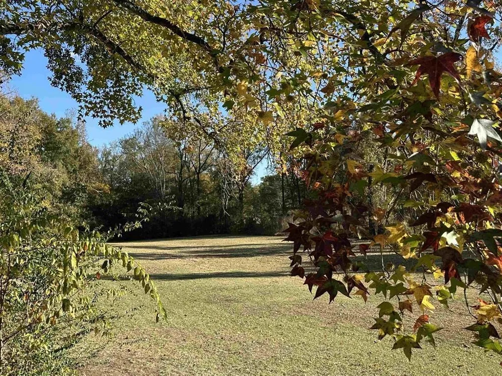 Cecelia Mt Pleasant, TX 75455