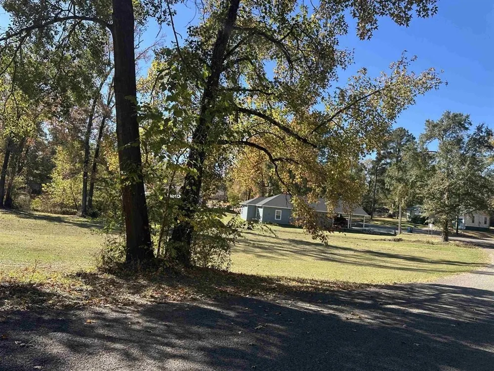 Cecelia Mt Pleasant, TX 75455