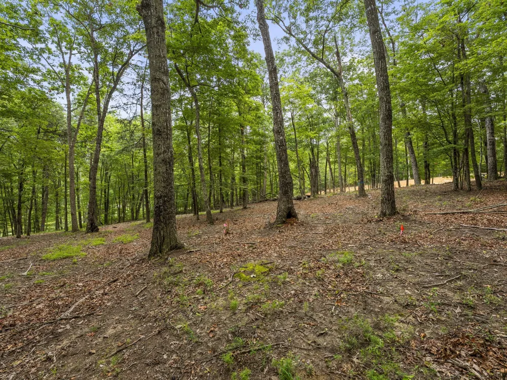 0 Eagle Rock Rd Monteagle, TN 37356