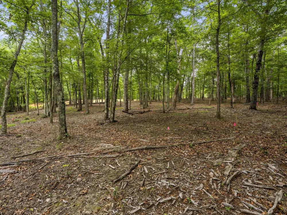 0 Eagle Rock Rd Monteagle, TN 37356