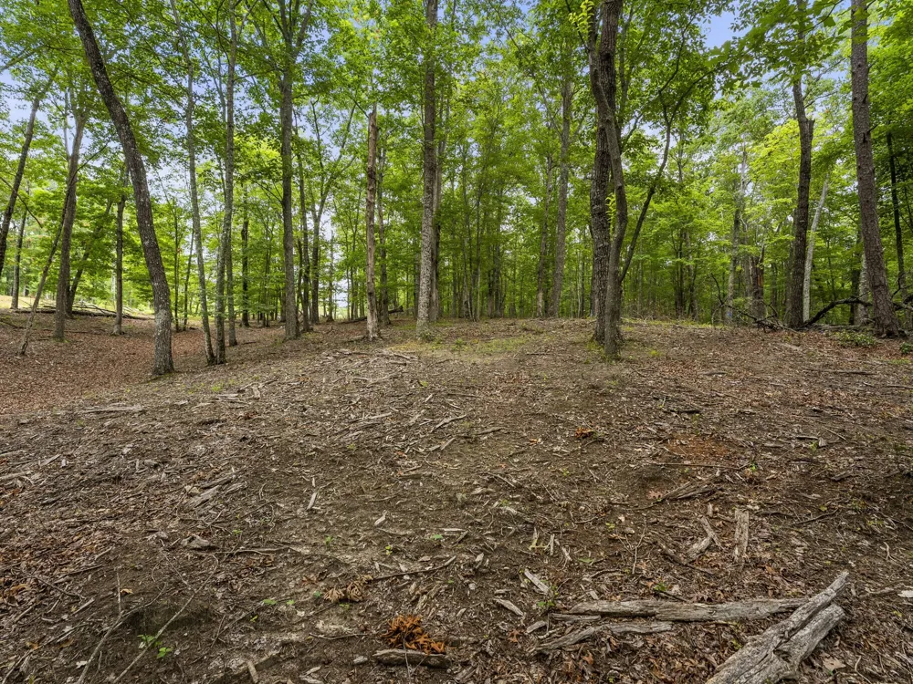 0 Eagle Rock Rd Monteagle, TN 37356
