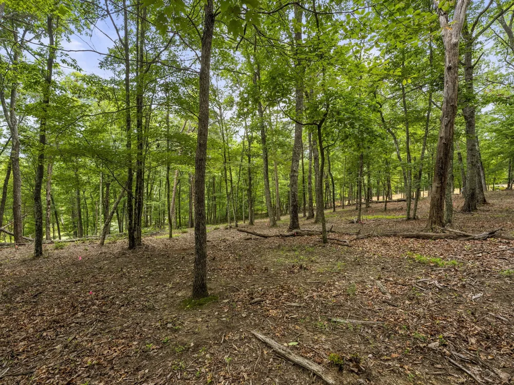 0 Eagle Rock Rd Monteagle, TN 37356