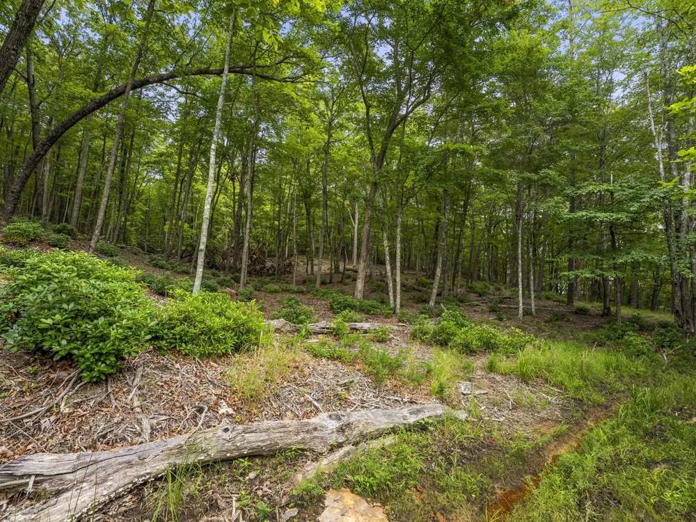 0 Eagle Rock Rd Monteagle, TN 37356