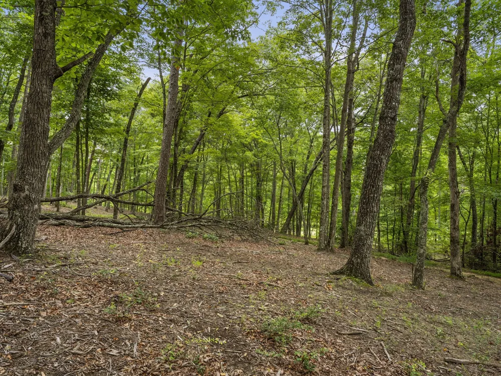 0 Eagle Rock Rd Monteagle, TN 37356