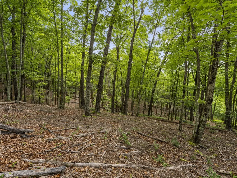 0 Eagle Rock Rd Monteagle, TN 37356