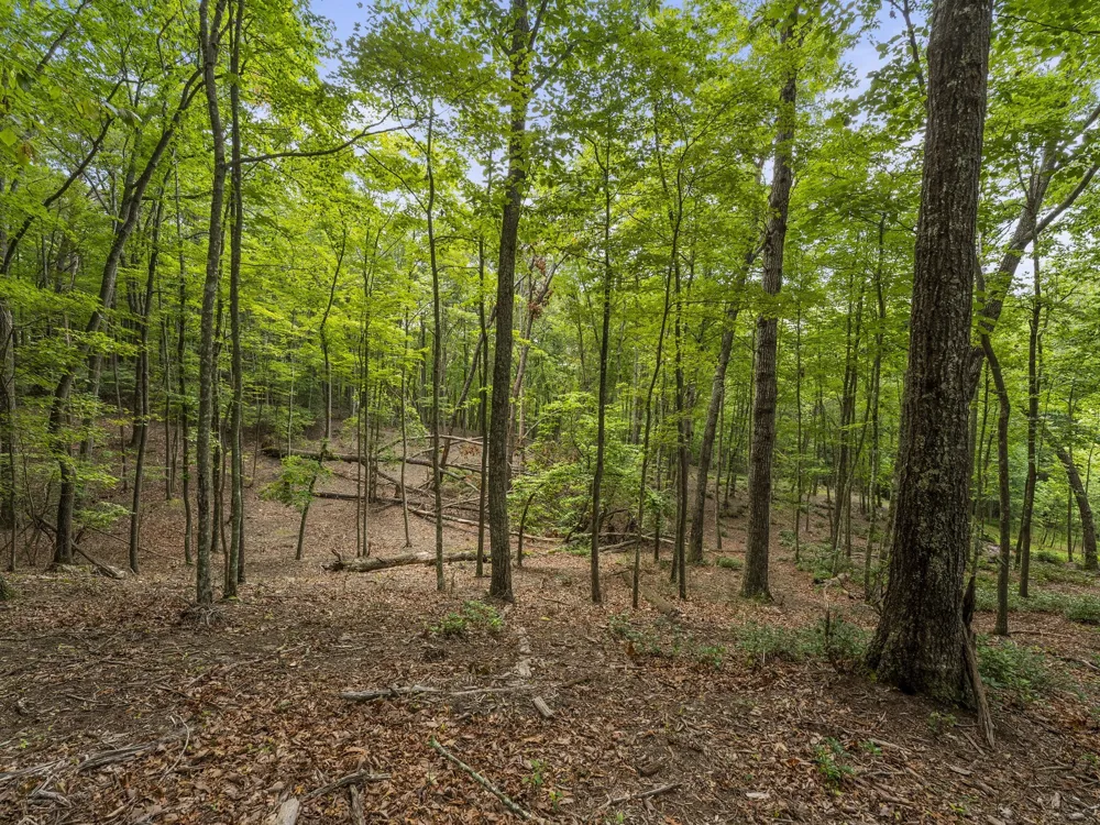 0 Eagle Rock Rd Monteagle, TN 37356