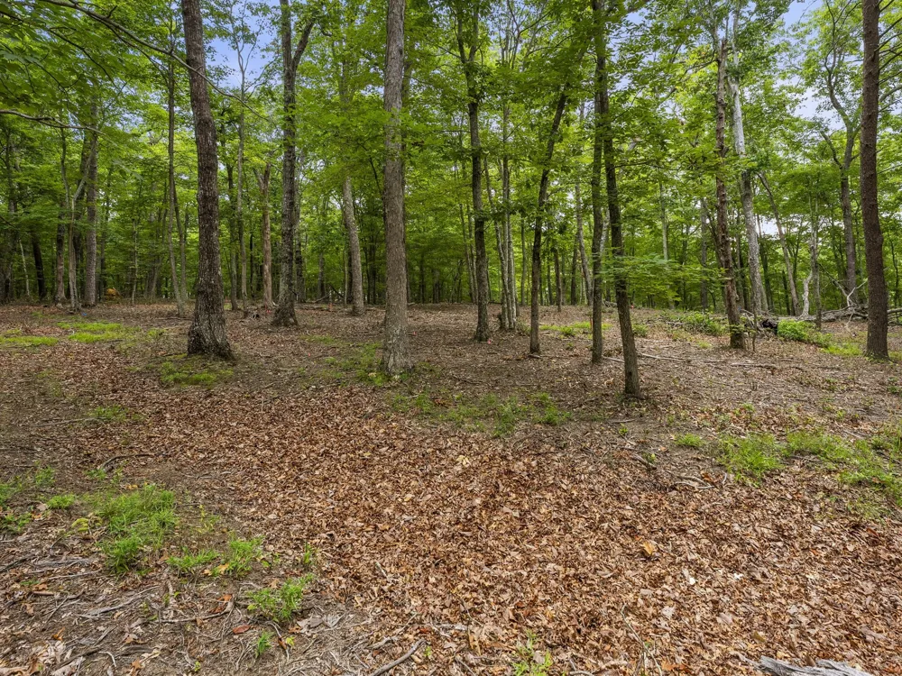 0 Eagle Rock Rd Monteagle, TN 37356