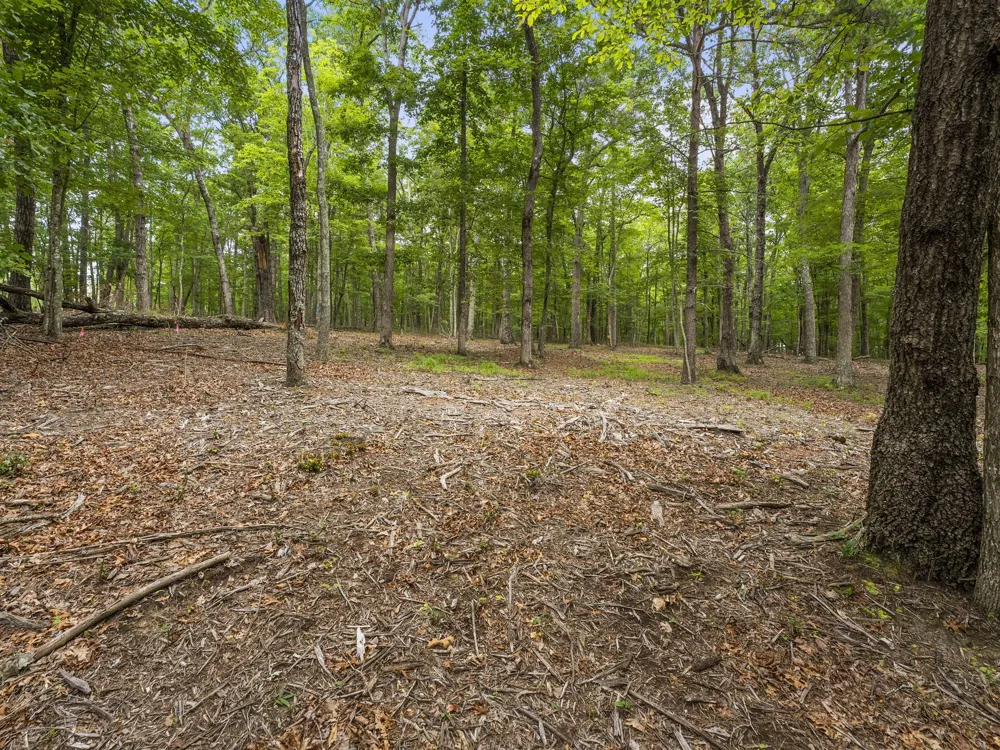 0 Eagle Rock Rd Monteagle, TN 37356