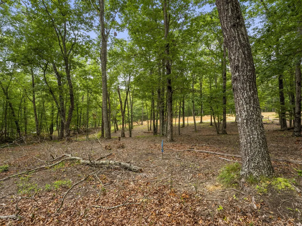0 Eagle Rock Rd Monteagle, TN 37356