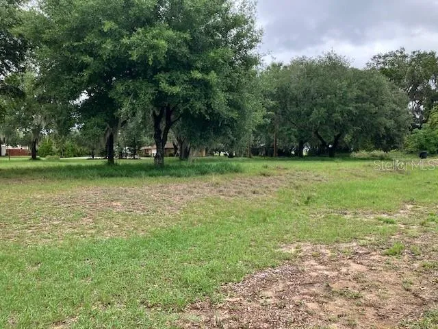 MOCKINGBIRD LANE Fruitland Park, FL 34731