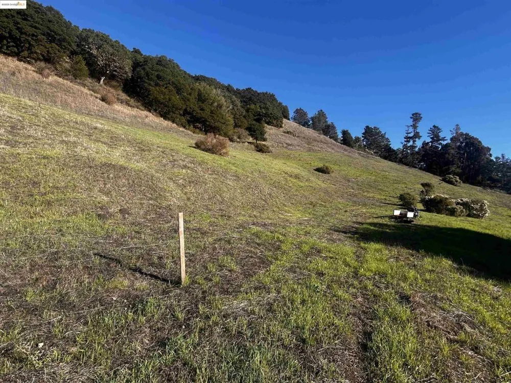 15 Abbie Ln El Sobrante, CA 94803