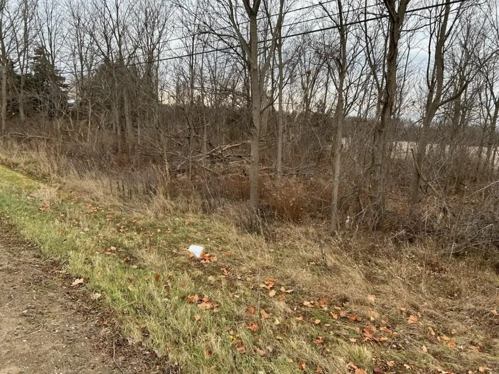 7690 M-71 Highway Vernon Township, MI 48429