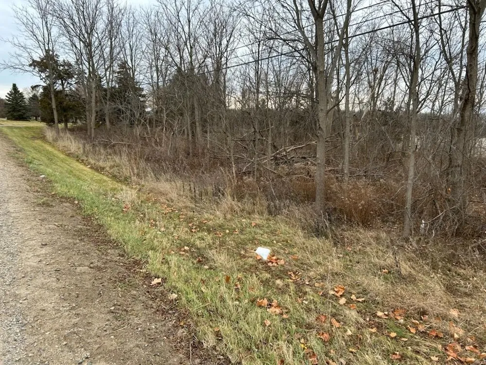 7690 M-71 Highway Vernon Township, MI 48429