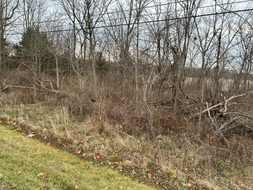 7690 M-71 Highway Vernon Township, MI 48429