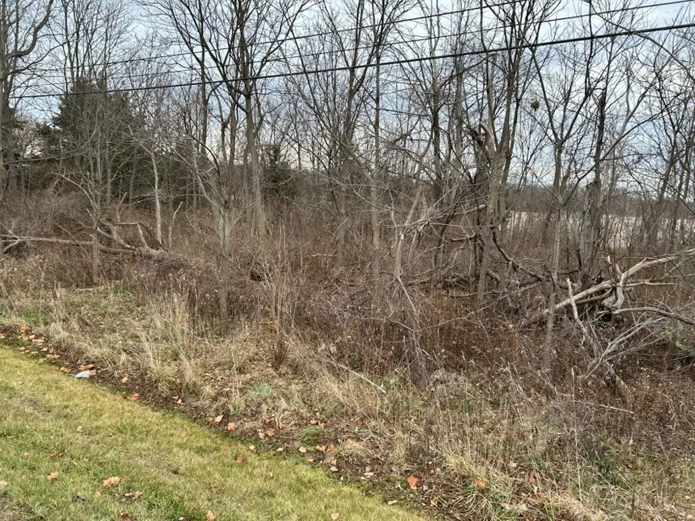 7690 M-71 Highway Vernon Township, MI 48429