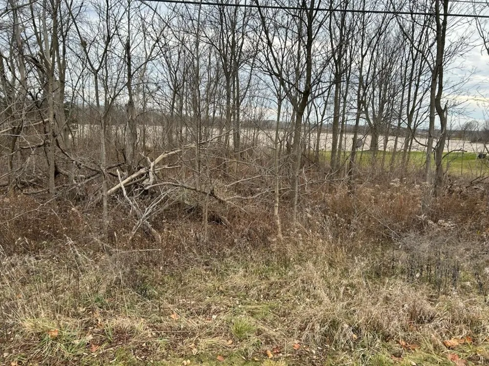 7690 M-71 Highway Vernon Township, MI 48429
