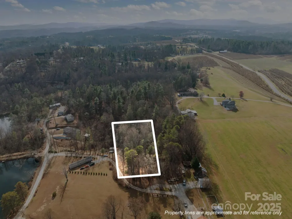 99999 Twin Lakes Drive Flat Rock, NC 28792