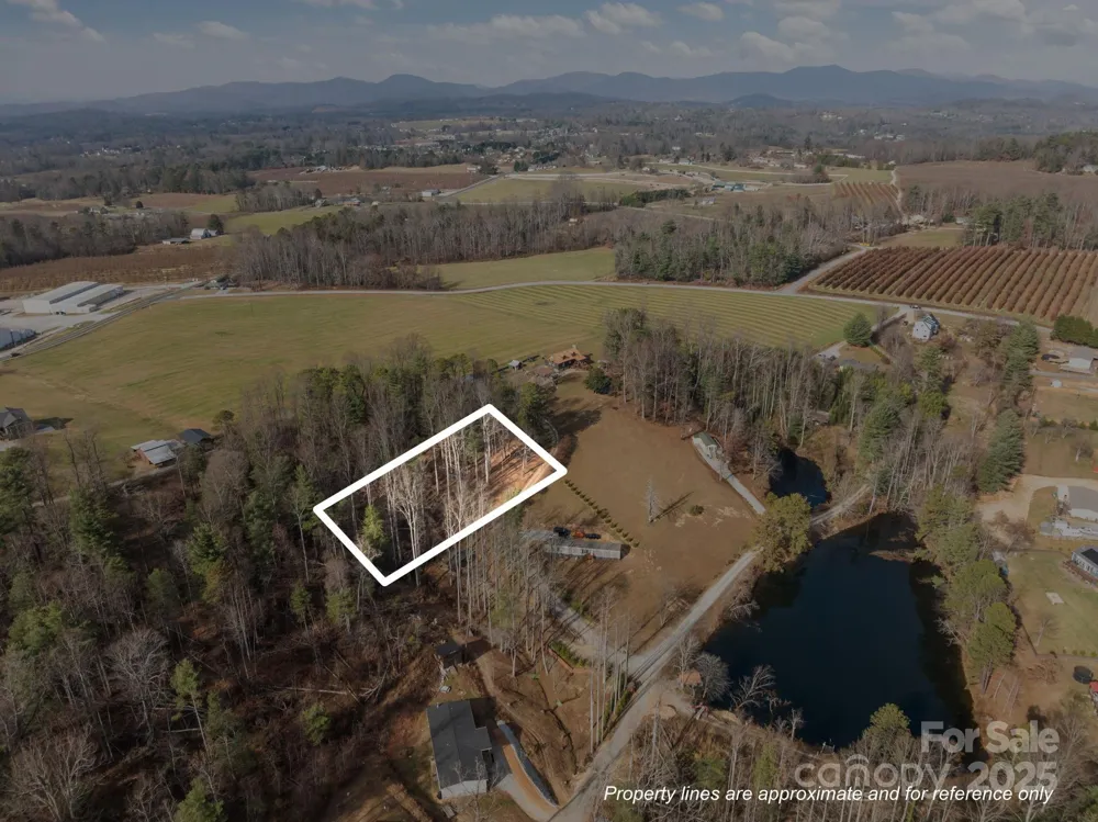 99999 Twin Lakes Drive Flat Rock, NC 28792