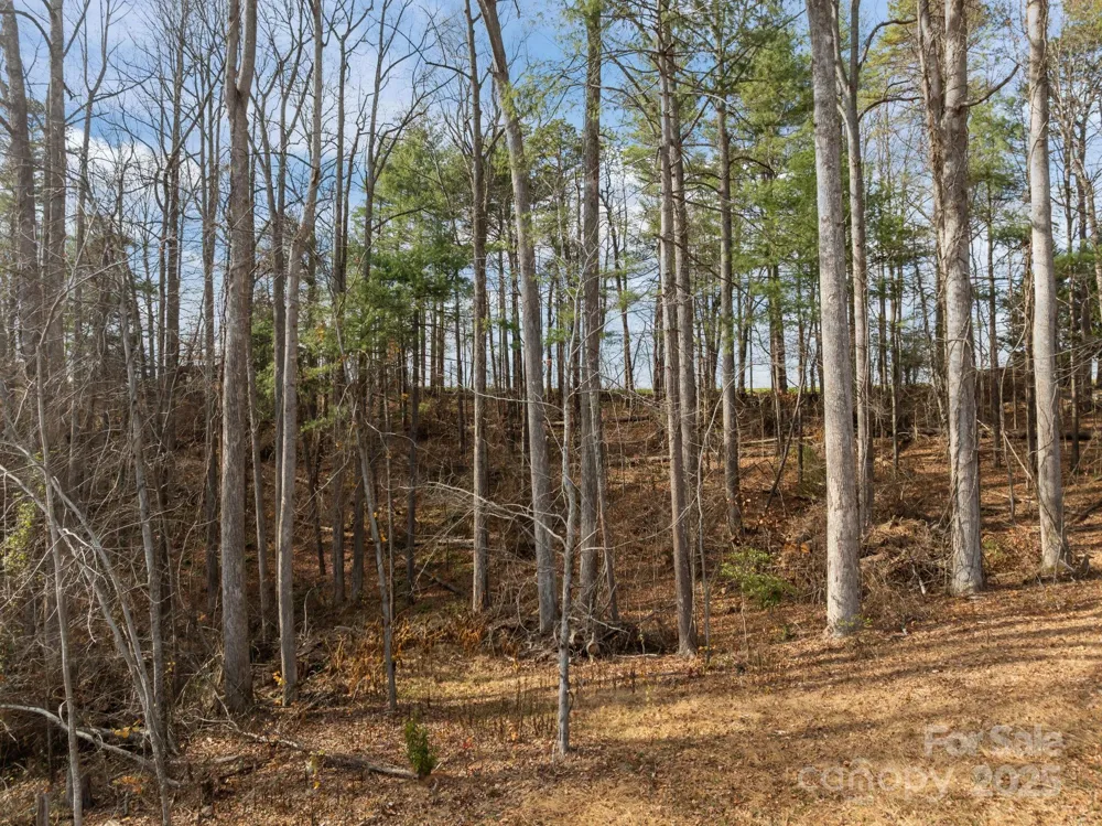 99999 Twin Lakes Drive Flat Rock, NC 28792
