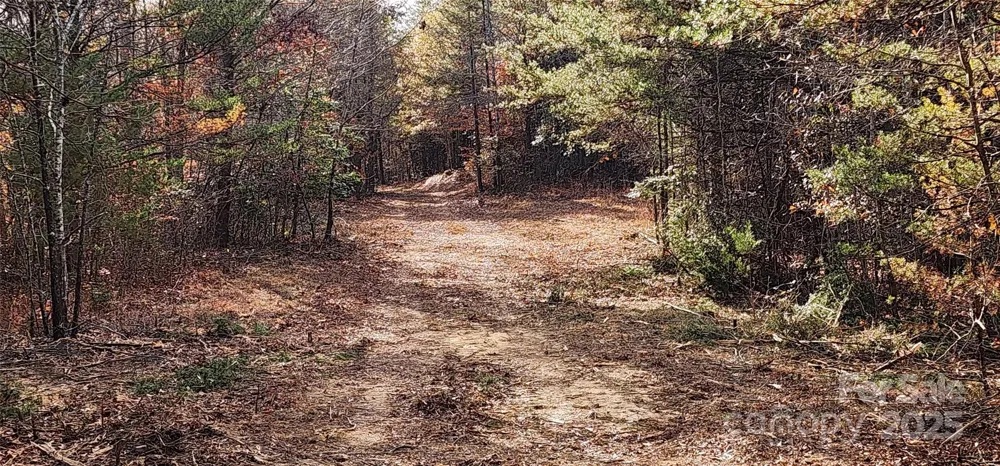 151 Cobb Road Blacksburg, SC 29702