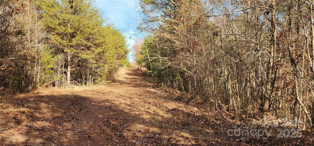 151 Cobb Road Blacksburg, SC 29702