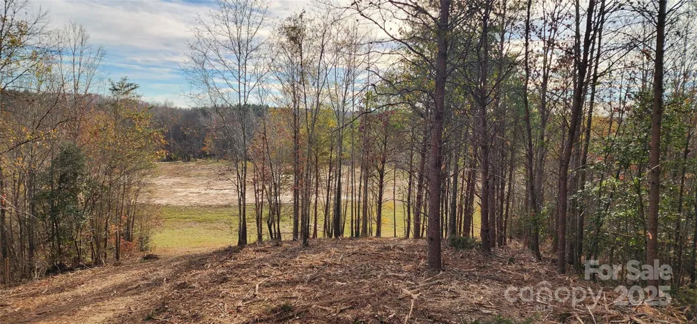 151 Cobb Road Blacksburg, SC 29702