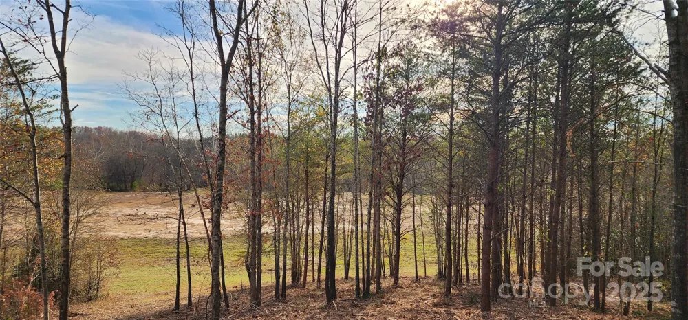 151 Cobb Road Blacksburg, SC 29702