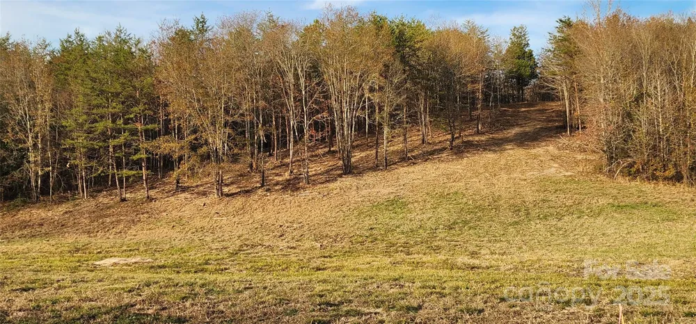 151 Cobb Road Blacksburg, SC 29702