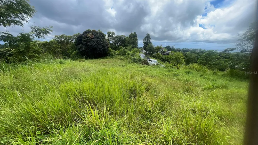 908 st BARRIO TEJAS Yabucoa, PR 00767