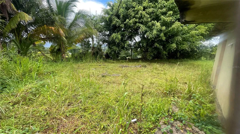 908 st BARRIO TEJAS Yabucoa, PR 00767