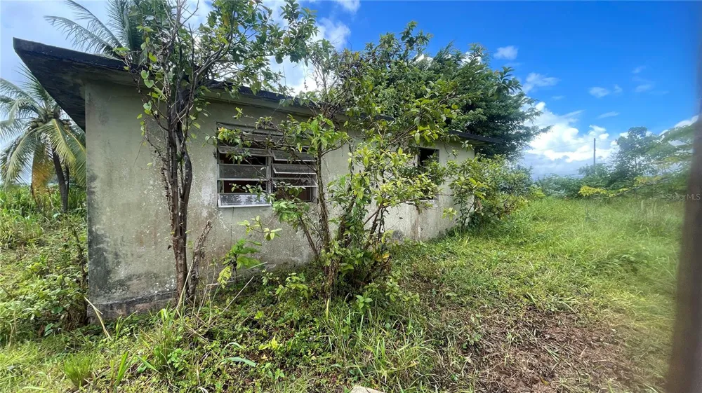 908 st BARRIO TEJAS Yabucoa, PR 00767