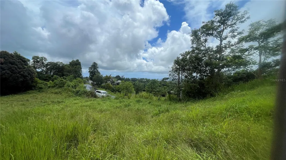 908 st BARRIO TEJAS Yabucoa, PR 00767