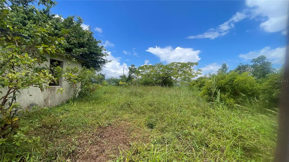 908 st BARRIO TEJAS Yabucoa, PR 00767