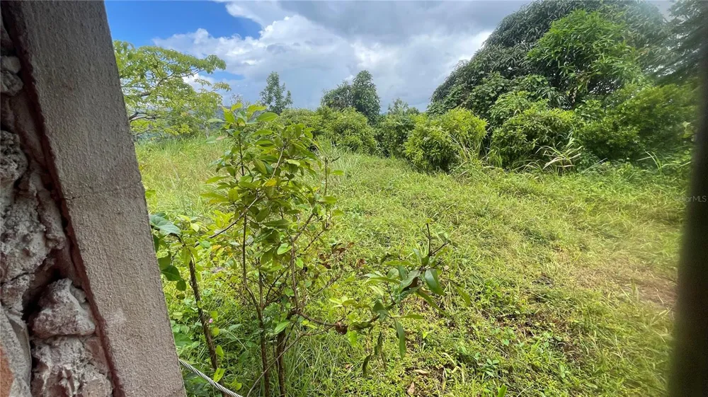 908 st BARRIO TEJAS Yabucoa, PR 00767